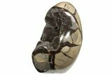 7.5" Free-Standing, Polished Septarian Geode - Black Crystals - #196268-1